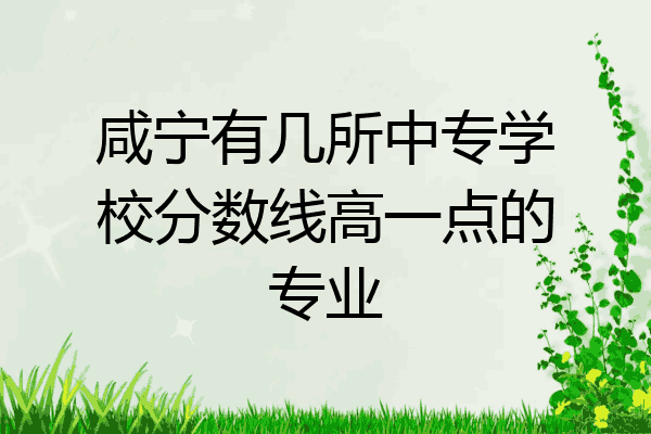 咸宁有几所中专学校分数线高一点的专业