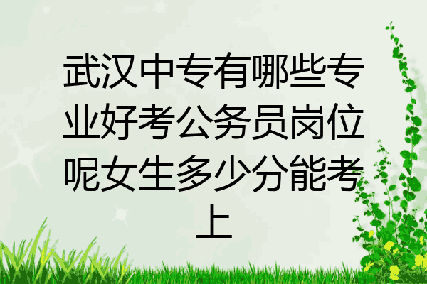 武汉中专有哪些专业好考公务员岗位呢女生多少分能考上