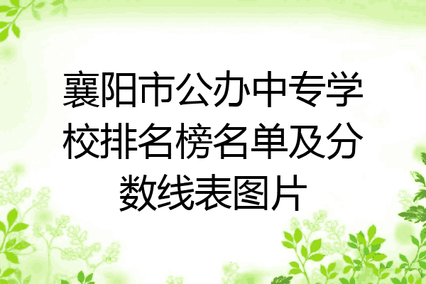 襄阳市公办中专学校排名榜名单及分数线表图片