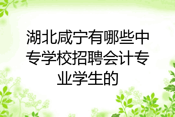 湖北咸宁有哪些中专学校招聘会计专业学生的