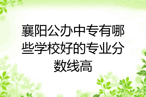襄阳公办中专有哪些学校好的专业分数线高