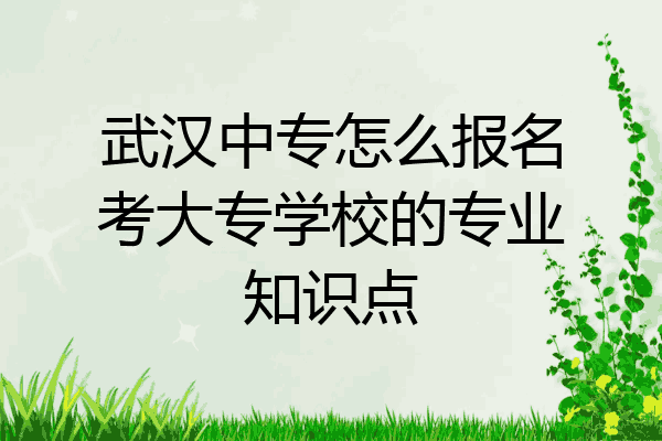 武汉中专怎么报名考大专学校的专业知识点