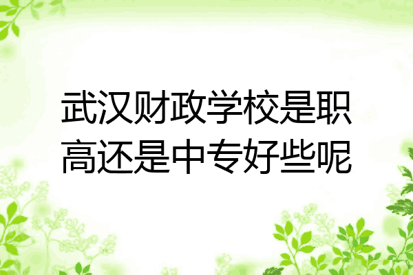 武汉财政学校是职高还是中专好些呢