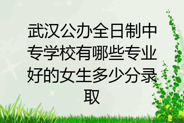武汉公办全日制中专学校有哪些专业好的女生多少分录取