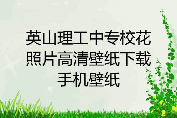 英山理工中专校花照片高清壁纸下载手机壁纸