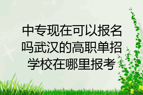 中专现在可以报名吗武汉的高职单招学校在哪里报考