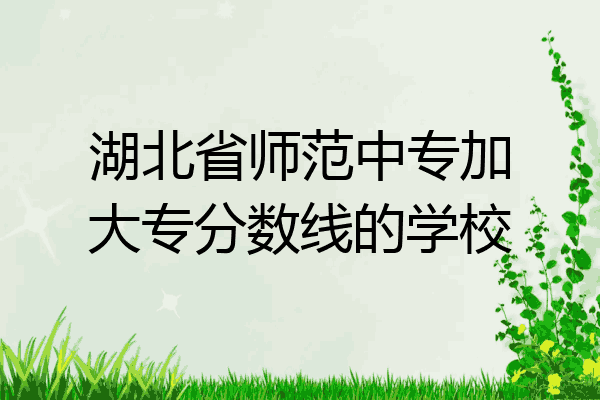 湖北省师范中专加大专分数线的学校