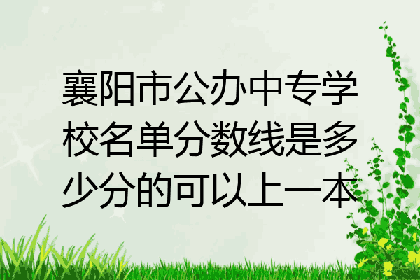 襄阳市公办中专学校名单分数线是多少分的可以上一本