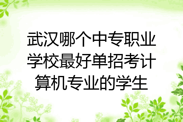 武汉哪个中专职业学校最好单招考计算机专业的学生
