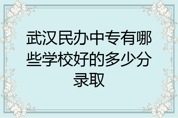 武汉民办中专有哪些学校好的多少分录取