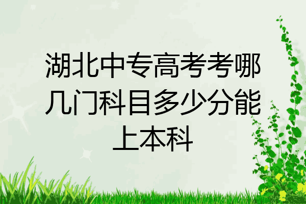 湖北中专高考考哪几门科目多少分能上本科