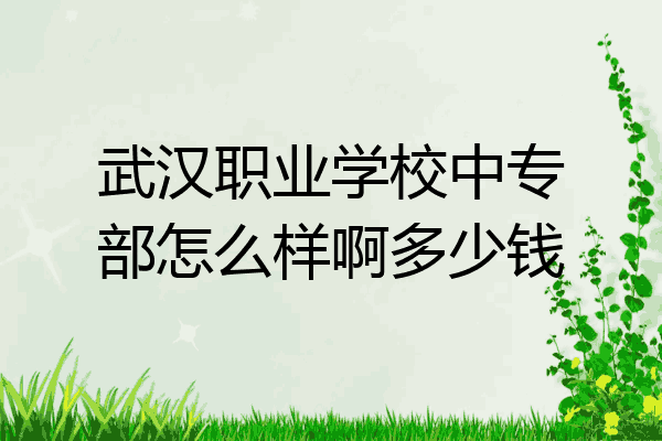 武汉职业学校中专部怎么样啊多少钱