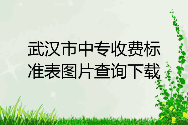 武汉市中专收费标准表图片查询下载