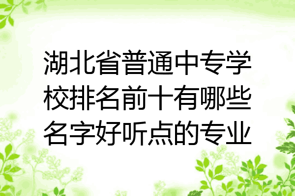 湖北省普通中专学校排名前十有哪些名字好听点的专业