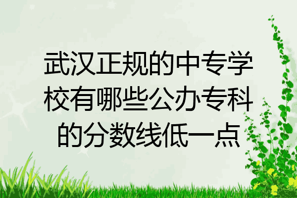 武汉正规的中专学校有哪些公办专科的分数线低一点
