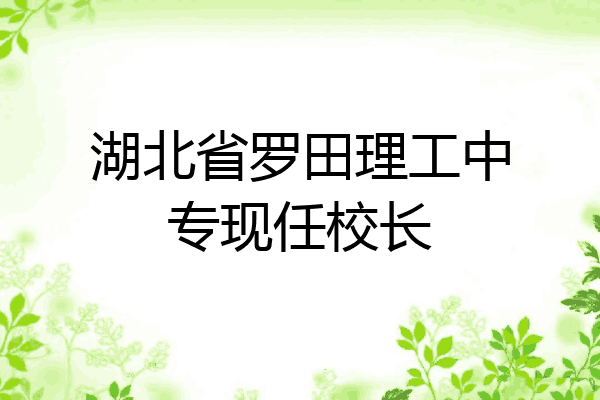 湖北省罗田理工中专现任校长