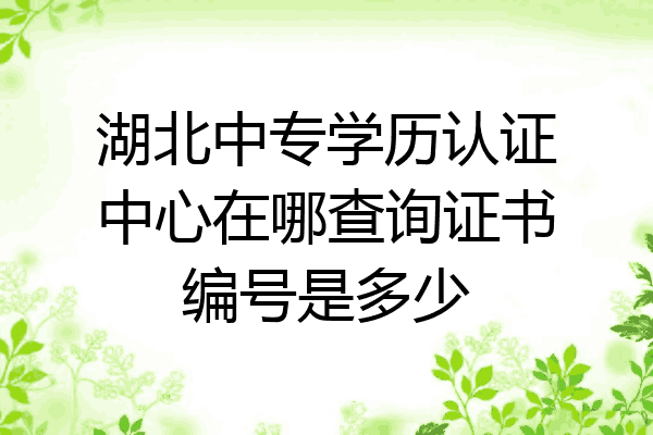 湖北中专学历认证中心在哪查询证书编号是多少