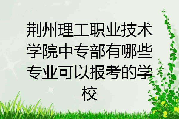 荆州理工职业技术学院中专部有哪些专业可以报考的学校
