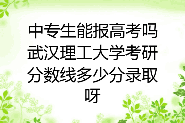 中专生能报高考吗武汉理工大学考研分数线多少分录取呀