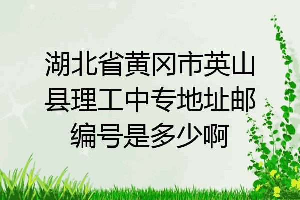 湖北省黄冈市英山县理工中专地址邮编号是多少啊