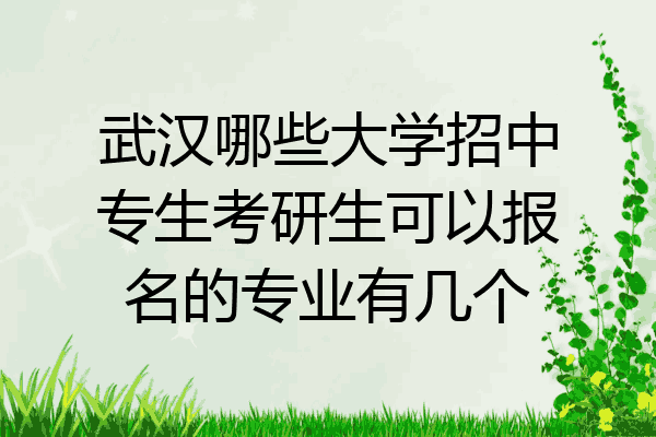 武汉哪些大学招中专生考研生可以报名的专业有几个