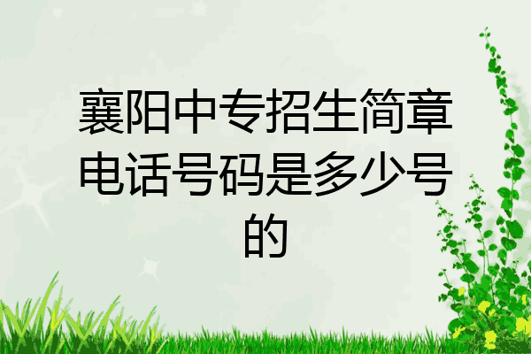 襄阳中专招生简章电话号码是多少号的