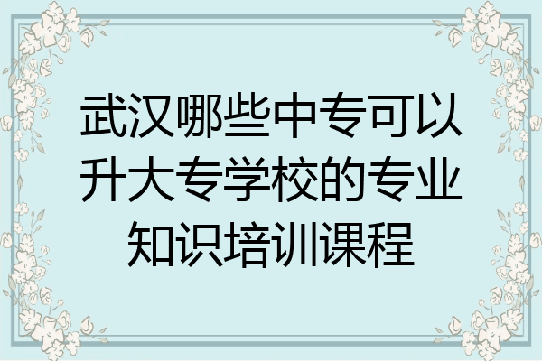 武汉哪些中专可以升大专学校的专业知识培训课程