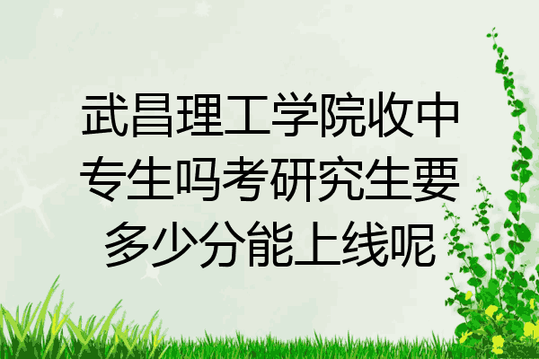 武昌理工学院收中专生吗考研究生要多少分能上线呢