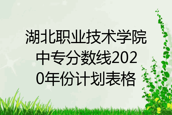 湖北职业技术学院中专分数线2020年份计划表格