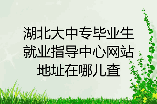 湖北大中专毕业生就业指导中心网站地址在哪儿查