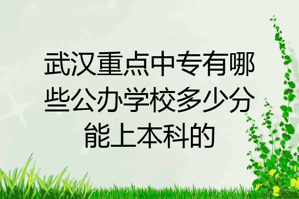 武汉重点中专有哪些公办学校多少分能上本科的