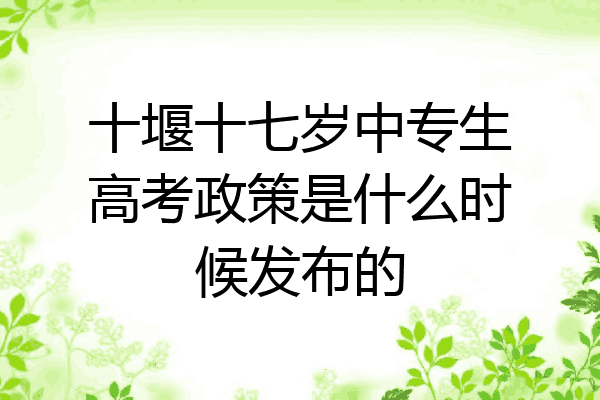 十堰十七岁中专生高考政策是什么时候发布的