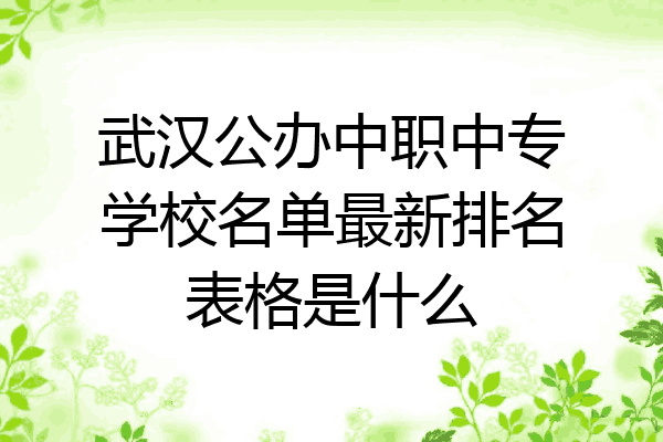 武汉公办中职中专学校名单最新排名表格是什么