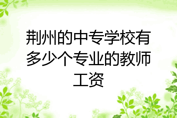 荆州的中专学校有多少个专业的教师工资