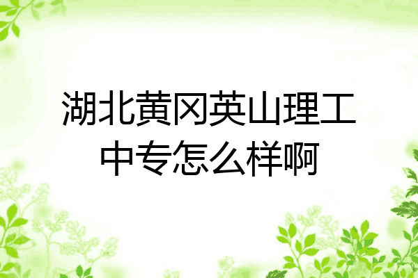 湖北黄冈英山理工中专怎么样啊