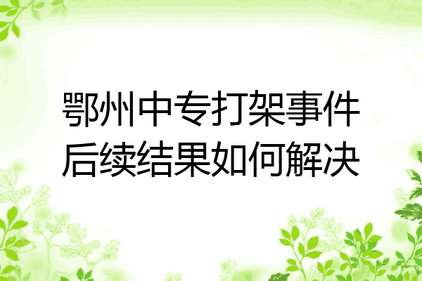 鄂州中专打架事件后续结果如何解决
