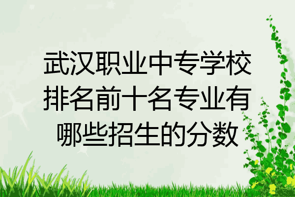 武汉职业中专学校排名前十名专业有哪些招生的分数
