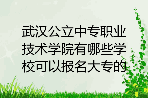 武汉公立中专职业技术学院有哪些学校可以报名大专的