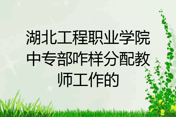 湖北工程职业学院中专部咋样分配教师工作的