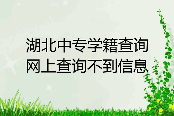 湖北中专学籍查询网上查询不到信息