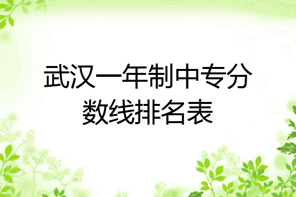 武汉一年制中专分数线排名表