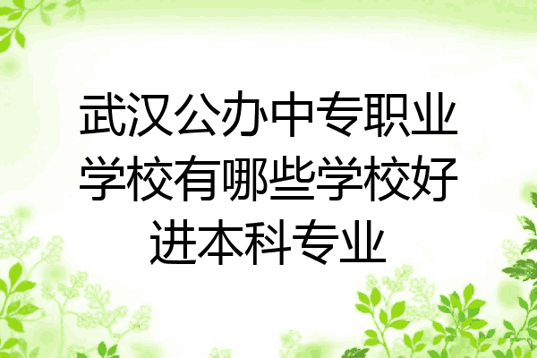 武汉公办中专职业学校有哪些学校好进本科专业