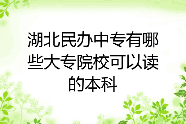 湖北民办中专有哪些大专院校可以读的本科