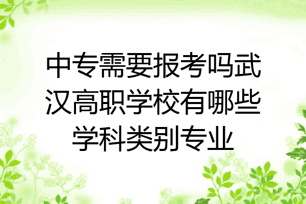 中专需要报考吗武汉高职学校有哪些学科类别专业