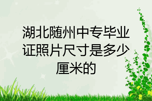 湖北随州中专毕业证照片尺寸是多少厘米的