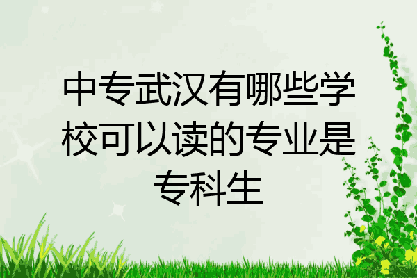 中专武汉有哪些学校可以读的专业是专科生