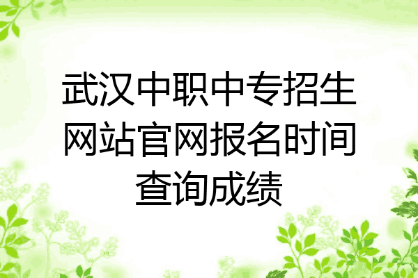 武汉中职中专招生网站官网报名时间查询成绩