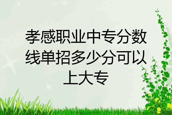 孝感职业中专分数线单招多少分可以上大专