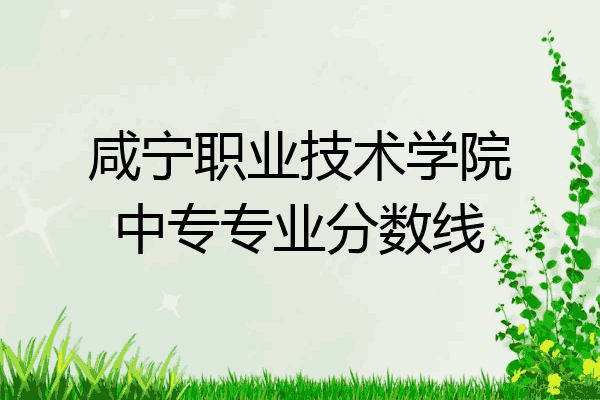 咸宁职业技术学院中专专业分数线