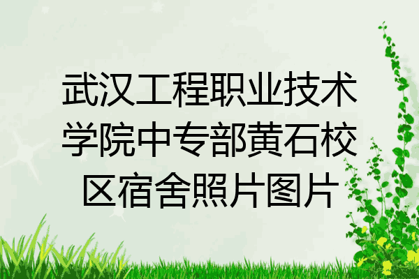 武汉工程职业技术学院中专部黄石校区宿舍照片图片